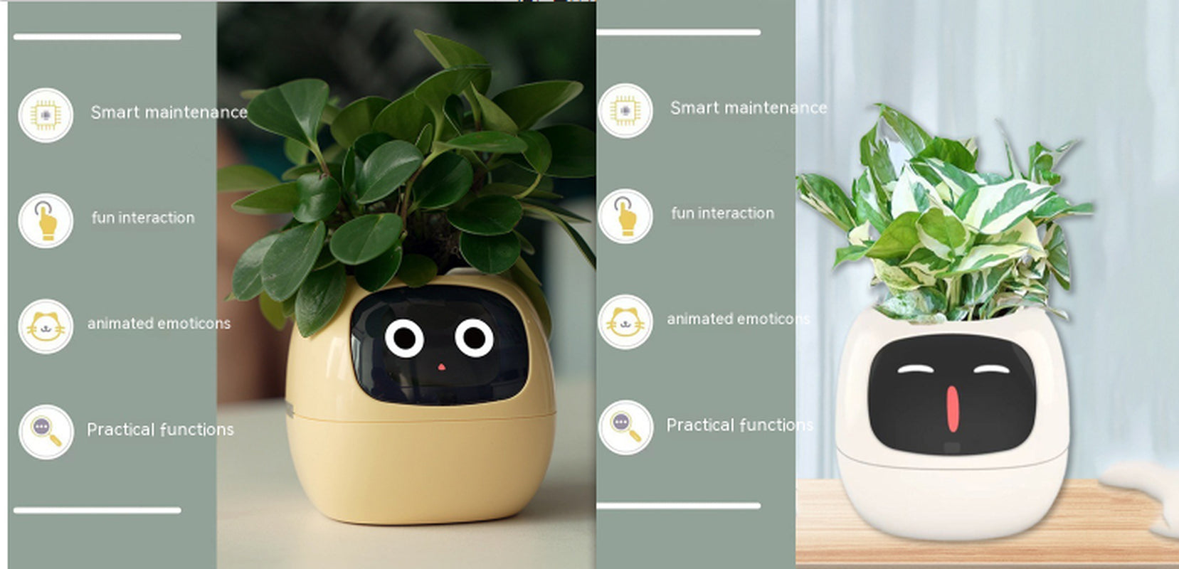Smart Planter Endless Fun over 49 Rich Expressions 7 Smart Sensors and AI Chips Make Raising Plants Easy and Fun