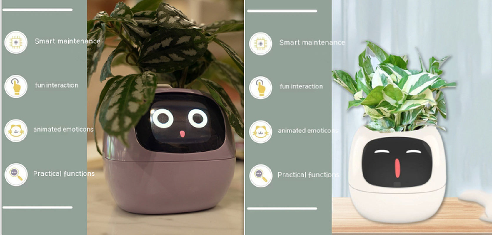 Smart Planter Endless Fun over 49 Rich Expressions 7 Smart Sensors and AI Chips Make Raising Plants Easy and Fun