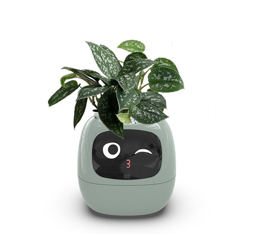 Smart Planter Endless Fun over 49 Rich Expressions 7 Smart Sensors and AI Chips Make Raising Plants Easy and Fun