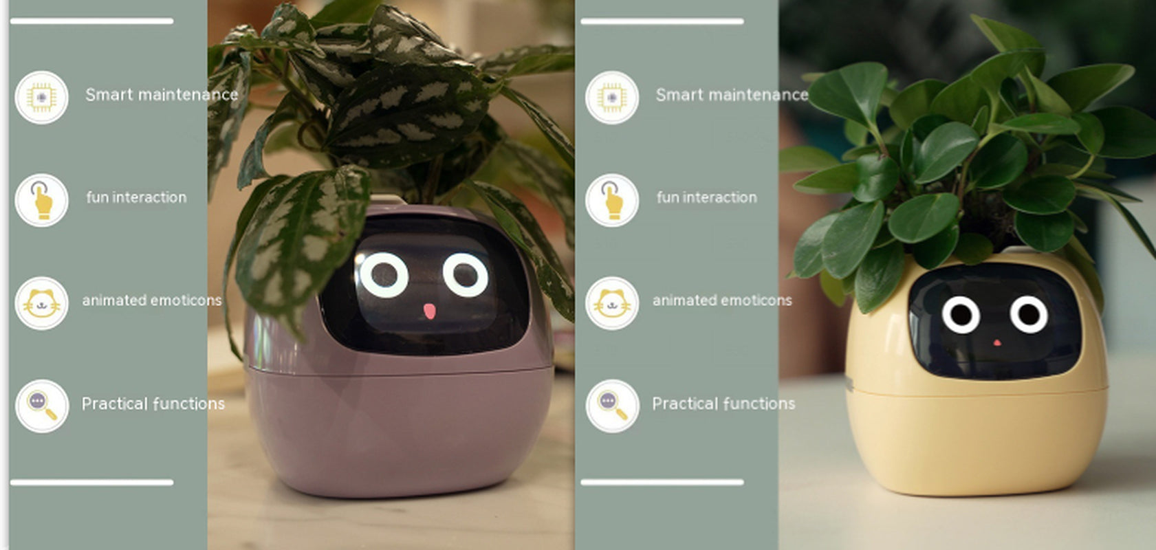 Smart Planter Endless Fun over 49 Rich Expressions 7 Smart Sensors and AI Chips Make Raising Plants Easy and Fun