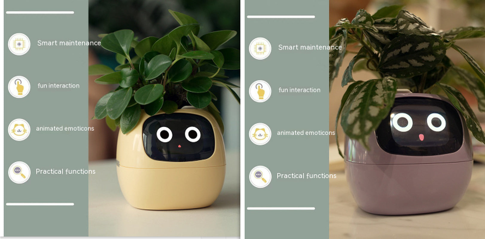 Smart Planter Endless Fun over 49 Rich Expressions 7 Smart Sensors and AI Chips Make Raising Plants Easy and Fun